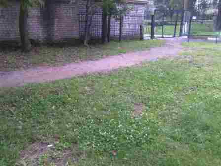 image 0 02 05 3ba49d6e0a7332f9538220af613af897dcf639bc16980b26b90d4951e1ffbce6 V