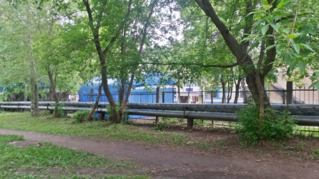 20180605 081810 RichtoneHDR