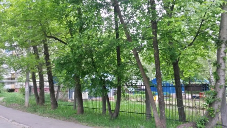 20180529 082116 RichtoneHDR