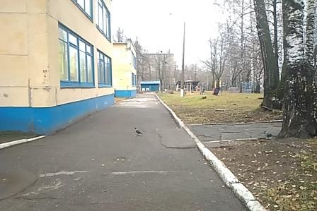 IMG 67d58821e11e9d32ba9986d4b80b302c V