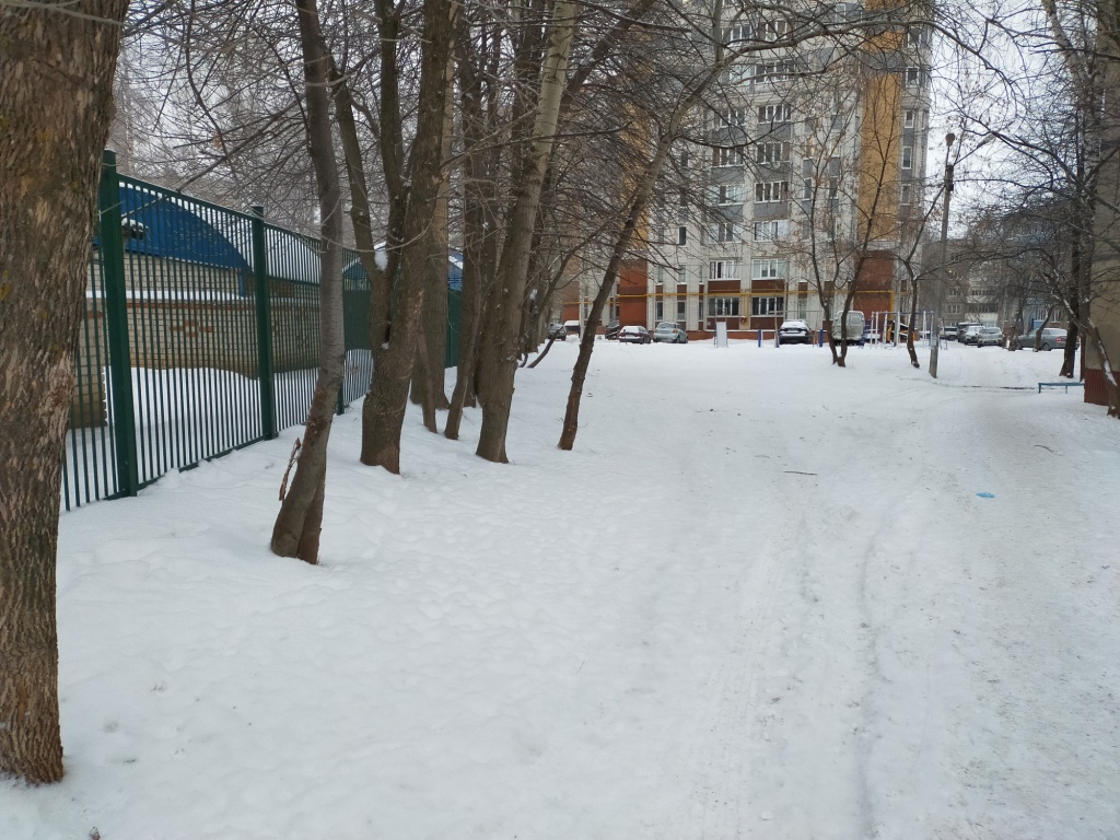 IMG20201229081611