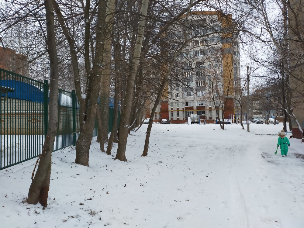 IMG20201124081003