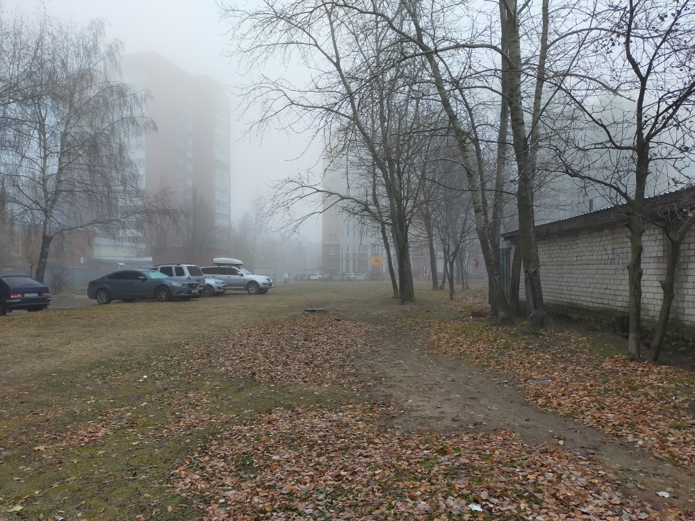 IMG20201103082417