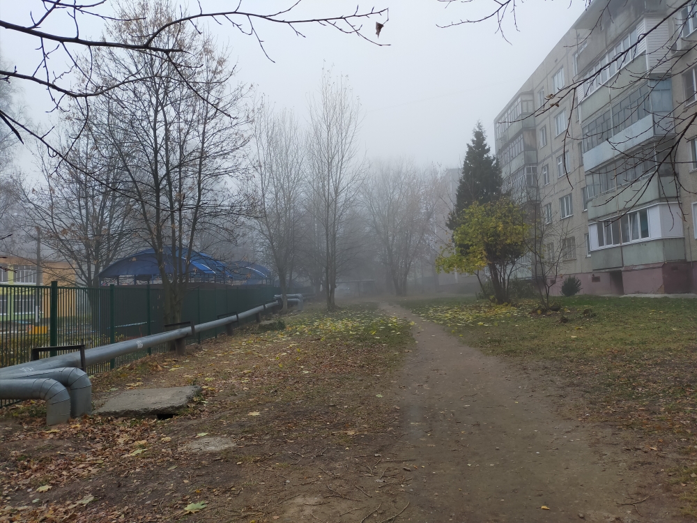 IMG20201103082437