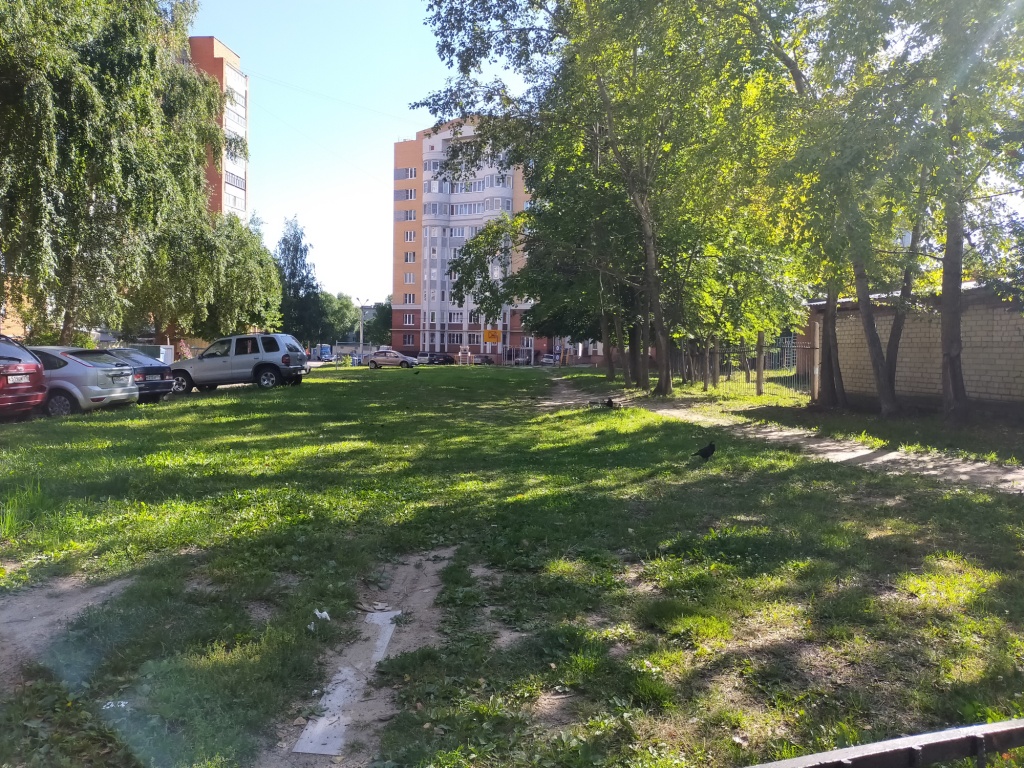 IMG20200810081517