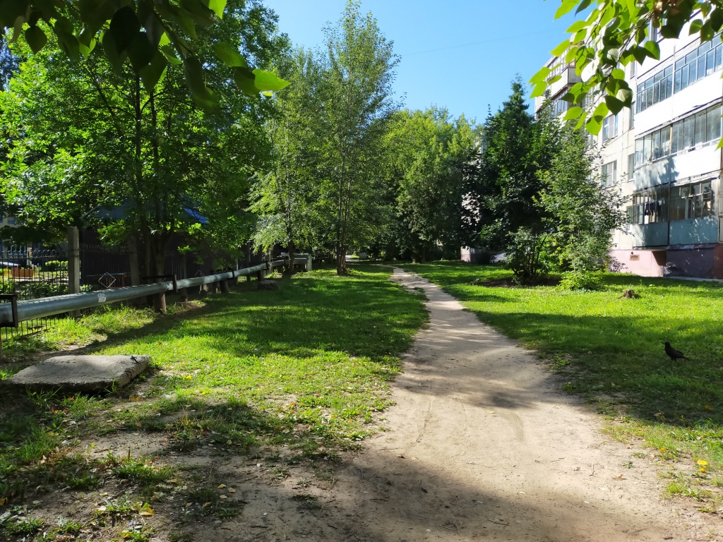 IMG20200810081542