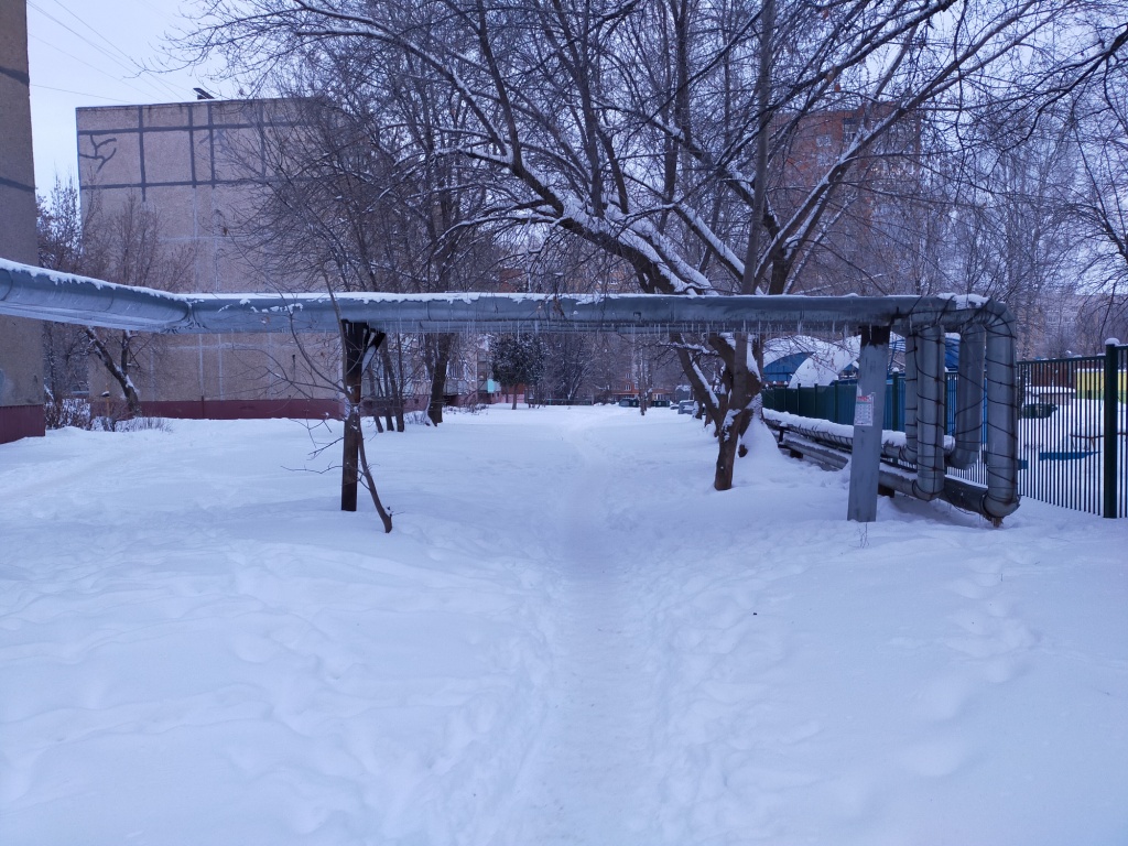 IMG20210119075635