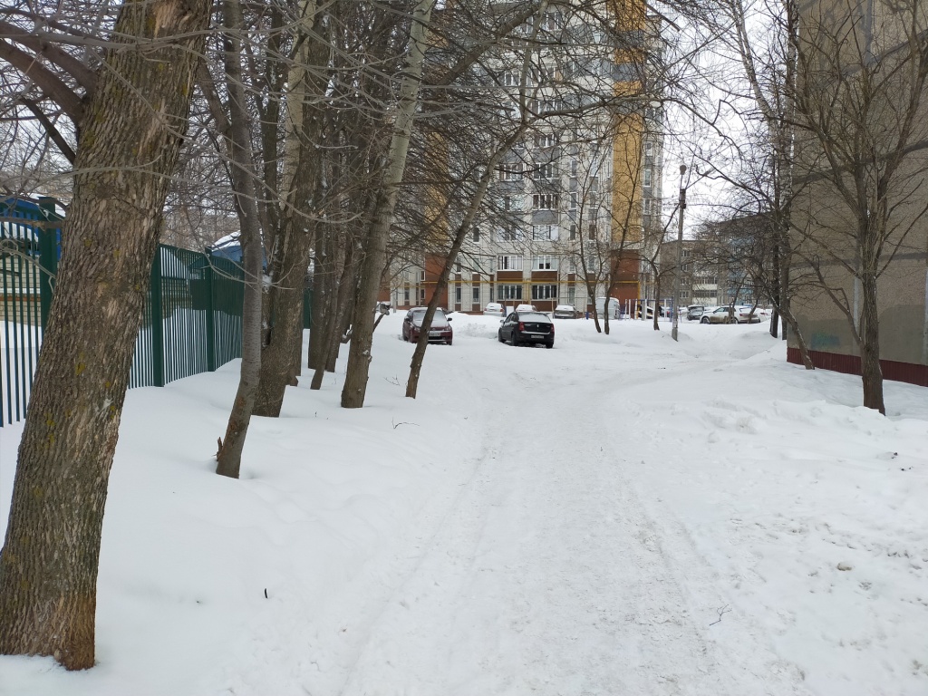 IMG20210316081517