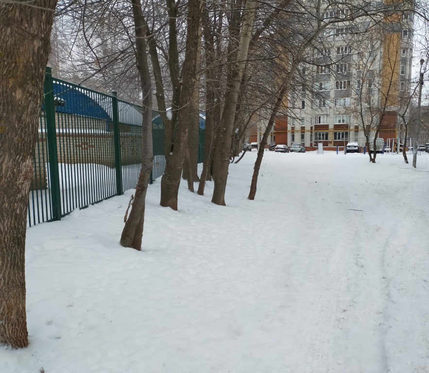 IMG20201229081611 1